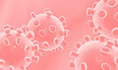 Coronavirus SARS-CoV-2 Coronavirus SARS-CoV-2