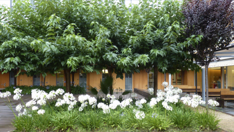 El jardín es un espacio ideal para disfrutar de la naturaleza